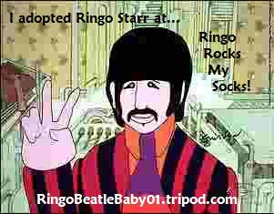 ringoadoption2.jpg